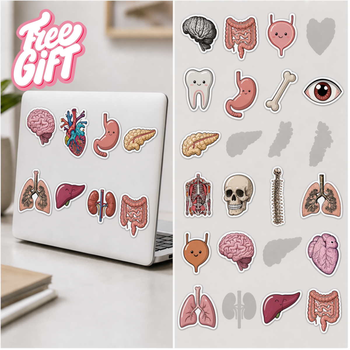 Anatomy Advent Calendar — 24 Anatomy Ornaments