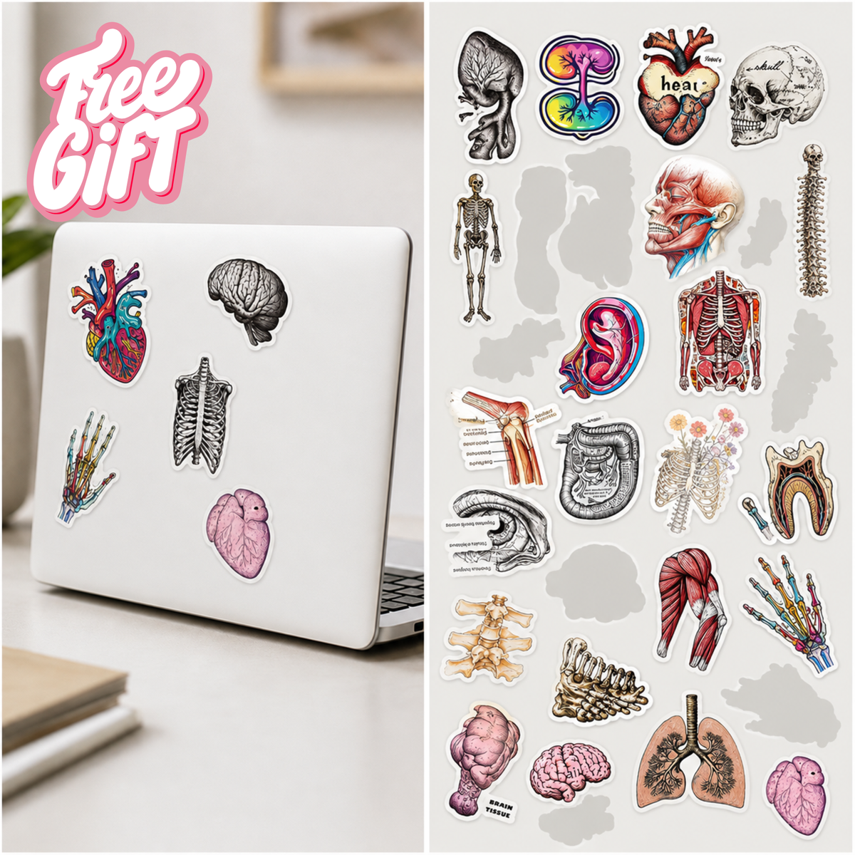 Anatomy Advent Calendar — 24 Anatomy Ornaments